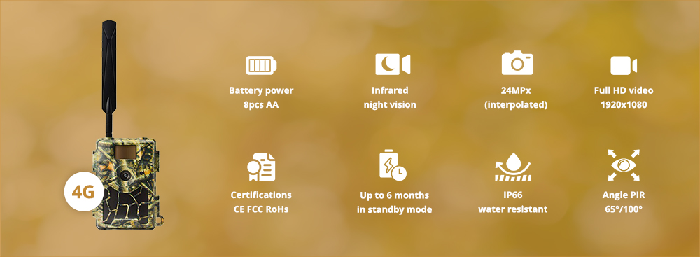 Wachman Rio4G vadkamera