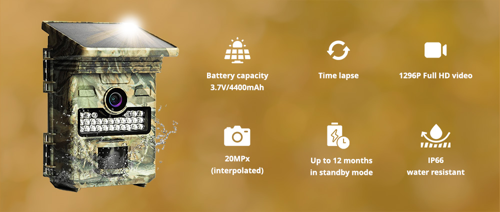 Wachman Solar Lite Napelemes vadkamerás készülék